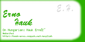 erno hauk business card